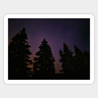 Magical forest at night Sticker